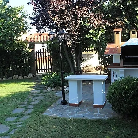 Domus Dams Bed & Breakfast