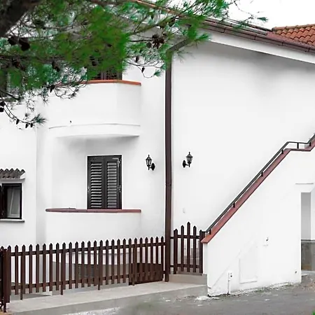 Domus Dams