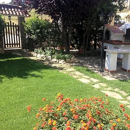 Domus Dams Bed & Breakfast