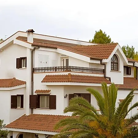 Bed & Breakfast Domus Dams