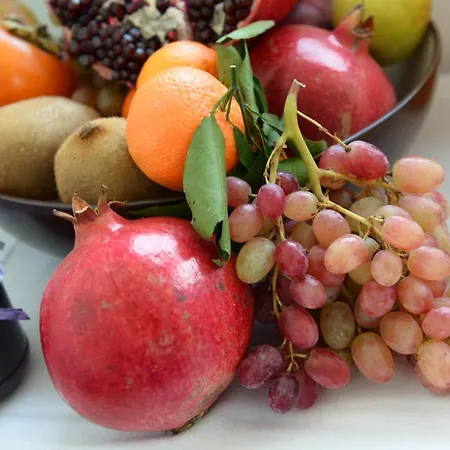 住宿加早餐酒店 Domus Dams 蒙泰斯卡廖索