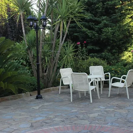Domus Dams Bed & Breakfast